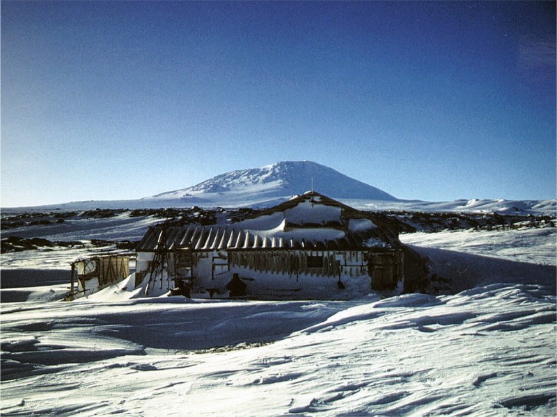 ant cape evans 04.jpg